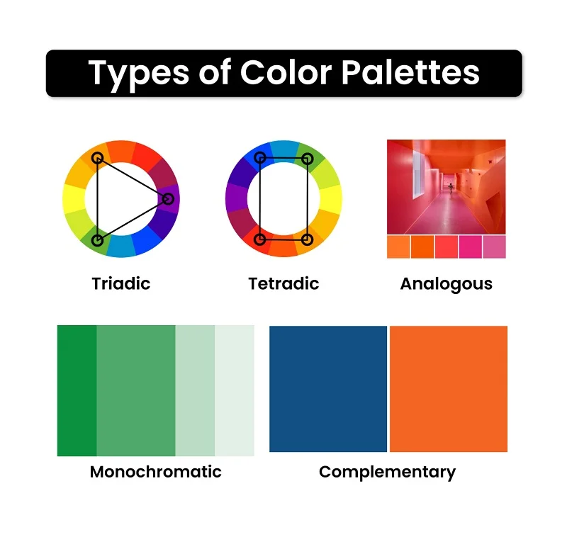 Types of Color Palettes