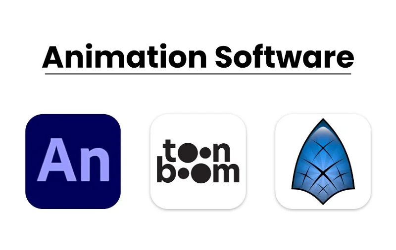 Use of Animation Software