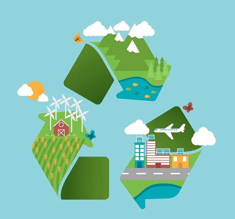 Environmental Impact Environmental Impact