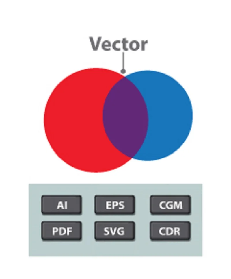 File Formats vector